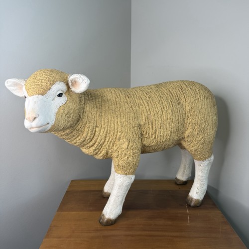 Merino baby lamb life - lamb, size