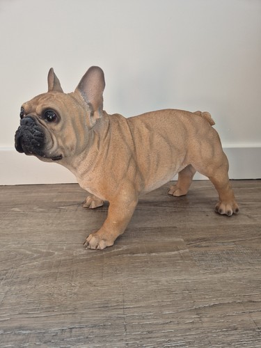 Life size french bulldog - size,