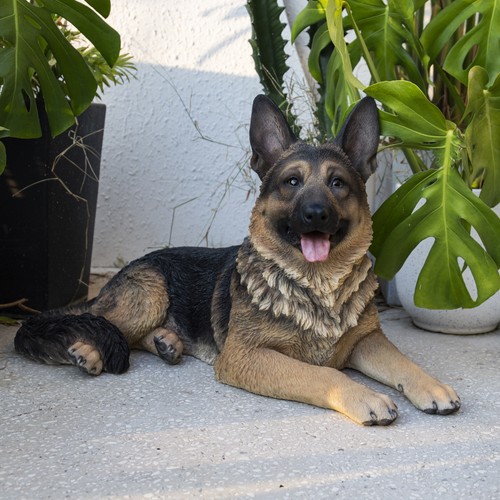 Lying german shepherd garden - lying,