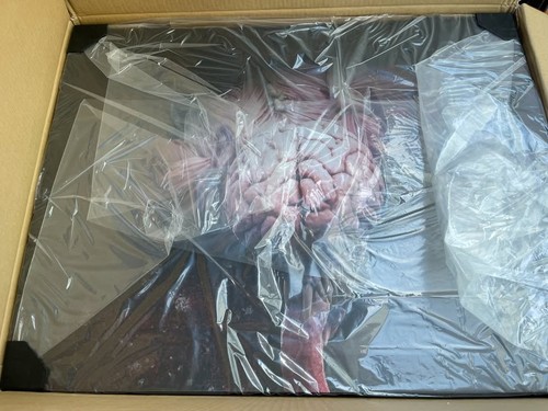 Resident evil life size licker - resident,
