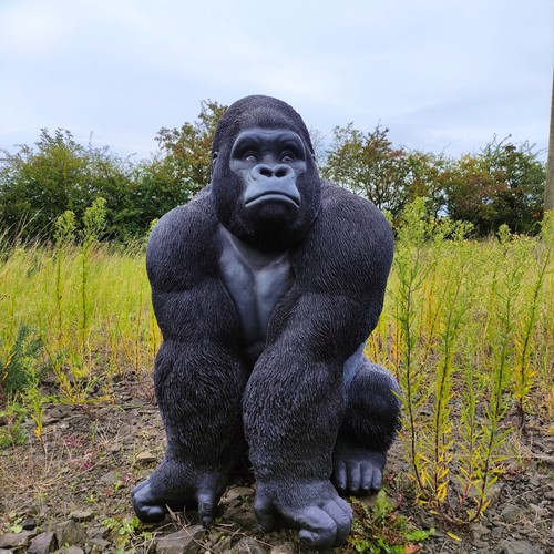 Giant gorilla vivid arts - vivid,