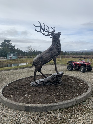 Stag life size - stag, bronze