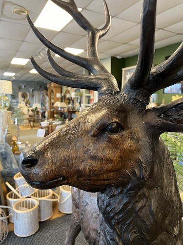 Life size stag bronze - life,