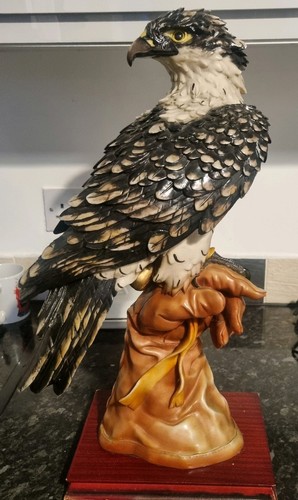 Life size eagle falcon - falcon, bird