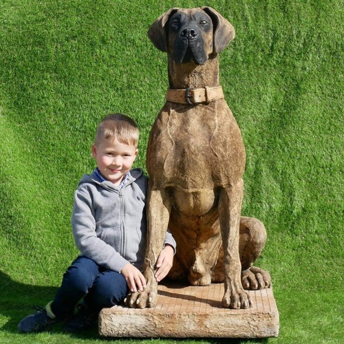 Giant life size great dane - size,