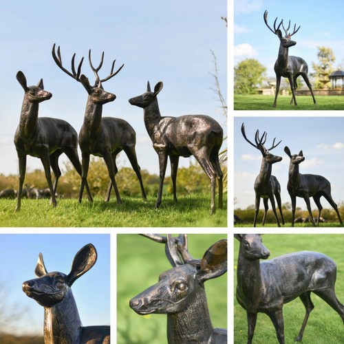 New forest standing stag - forest,