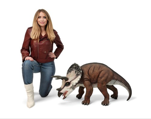 Triceratops dinosaur statue - dinosaur,