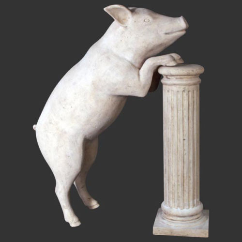Curious pig only statue - curious,