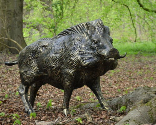 Wild boar garden - boar, /