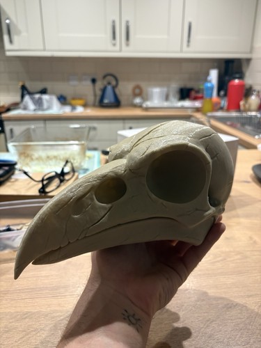 Raven skull life size - size, replica