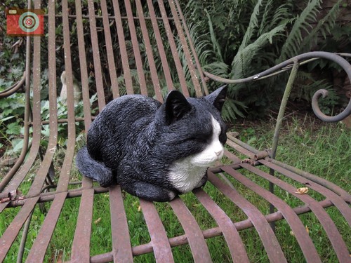 Dreaming black white cat - black, &