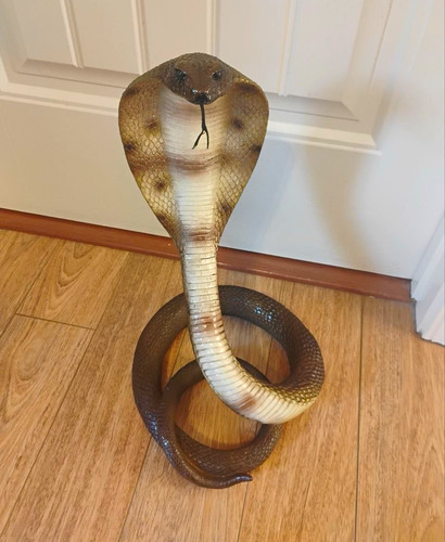 New life size - size, king