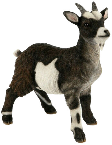 Pygmy goat ornament resin - pygmy,