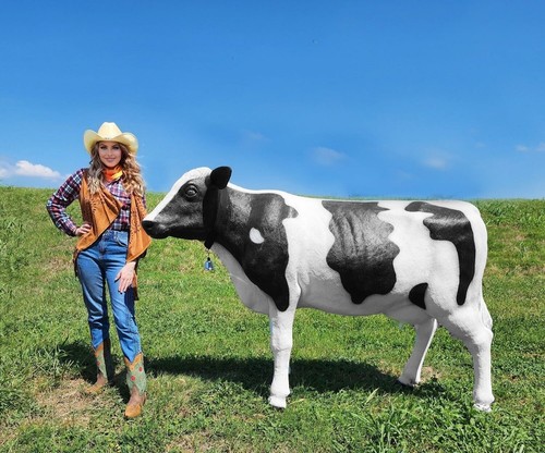 Cow life size - cow,