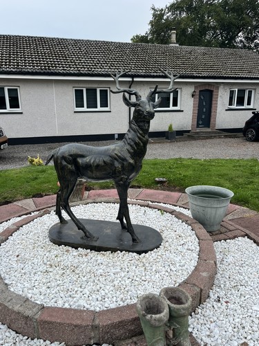 Life size stag - size,